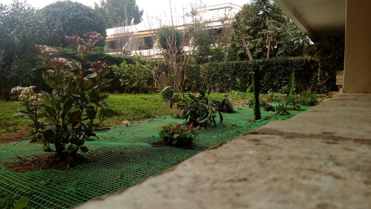 Garden Studio 55 S.M. Athens Exterior photo